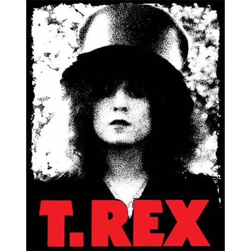T Rex Slider Sticker