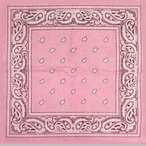 Pink Paisley Bandana-0