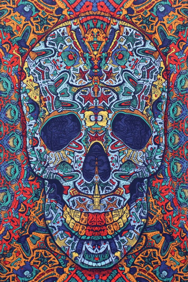 Skull 3-D Tapestry 30x45-0