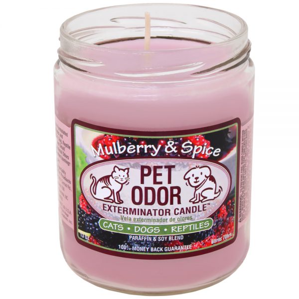 Pet Odor Exterminator Candle - Mulberry And Spice