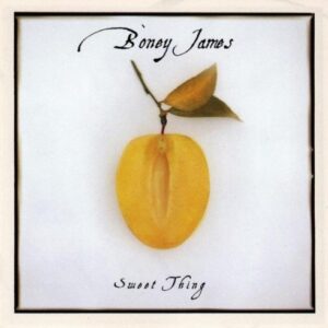Boney James / Sweet Thing Warner Bros 46548