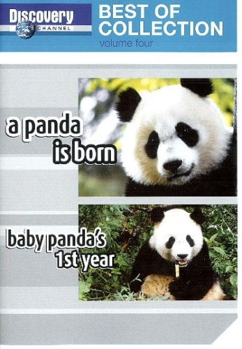 Discovery Channel - Best of Collection V4 -- A Panda is Born / Baby Panda's 1st Year [DVD] 2007