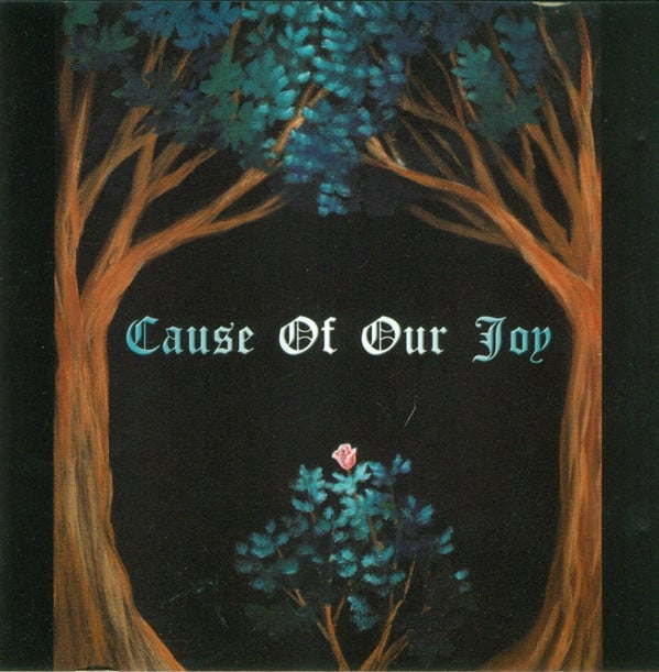 Cause of Our Joy [Audio CD] Cause of Our Joy