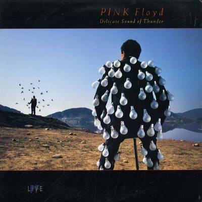 Pink Floyd / Delicate Sound of Thunder [Vinyl] PC2 44484