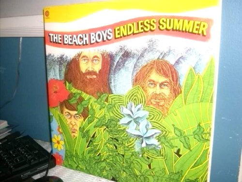 The Beach Boys / Endless Summer Vinyl Double LP) SVBB-11307